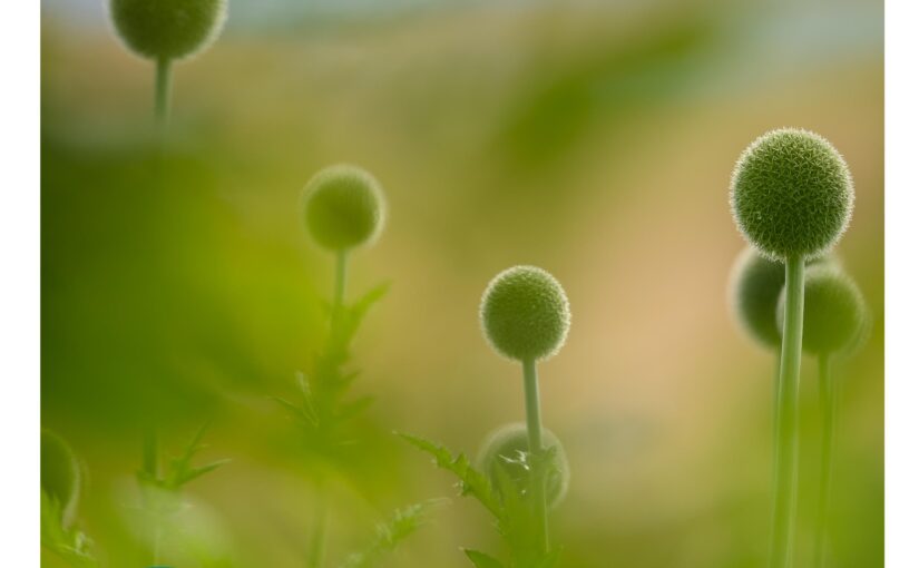 LETNÍ INTENZIVNÍ KURZ DIGITÁLNÍ FOTOGRAFIE