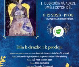 První dobročinná aukce uměleckých děl, díla k dražbě i k prodeji. Slavnostním večerem vás provedou moderátorky Naděžda Hávová a Kateřina Etrychová, hudební doprovod zajistí violoncellistka Sylva Jablonská. Čestným hostem večera je herečka Veronika Freimanová. Sál