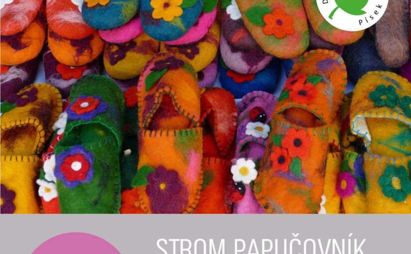 Kreativní dobrovolnická výzva   