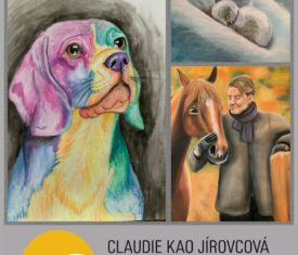 Výstava mladé písecké umělkyně Claudie Kao Jírovcové. Dětské oddělení