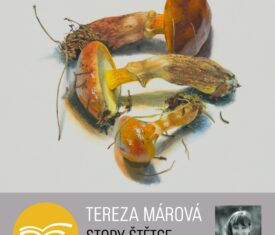 Vernisáž výstavy absolventky Akademie výtvarných umění Terezy Márové. Ve svých dílech využívá techniky jako olejomalba, suchý pastel, akvarel nebo kvaš. Druhé patro
