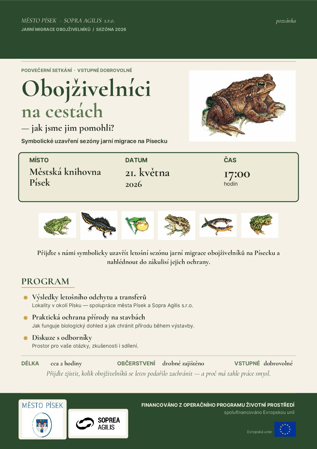 Obojživelníci na cestách — jak jsme jim pomohli?